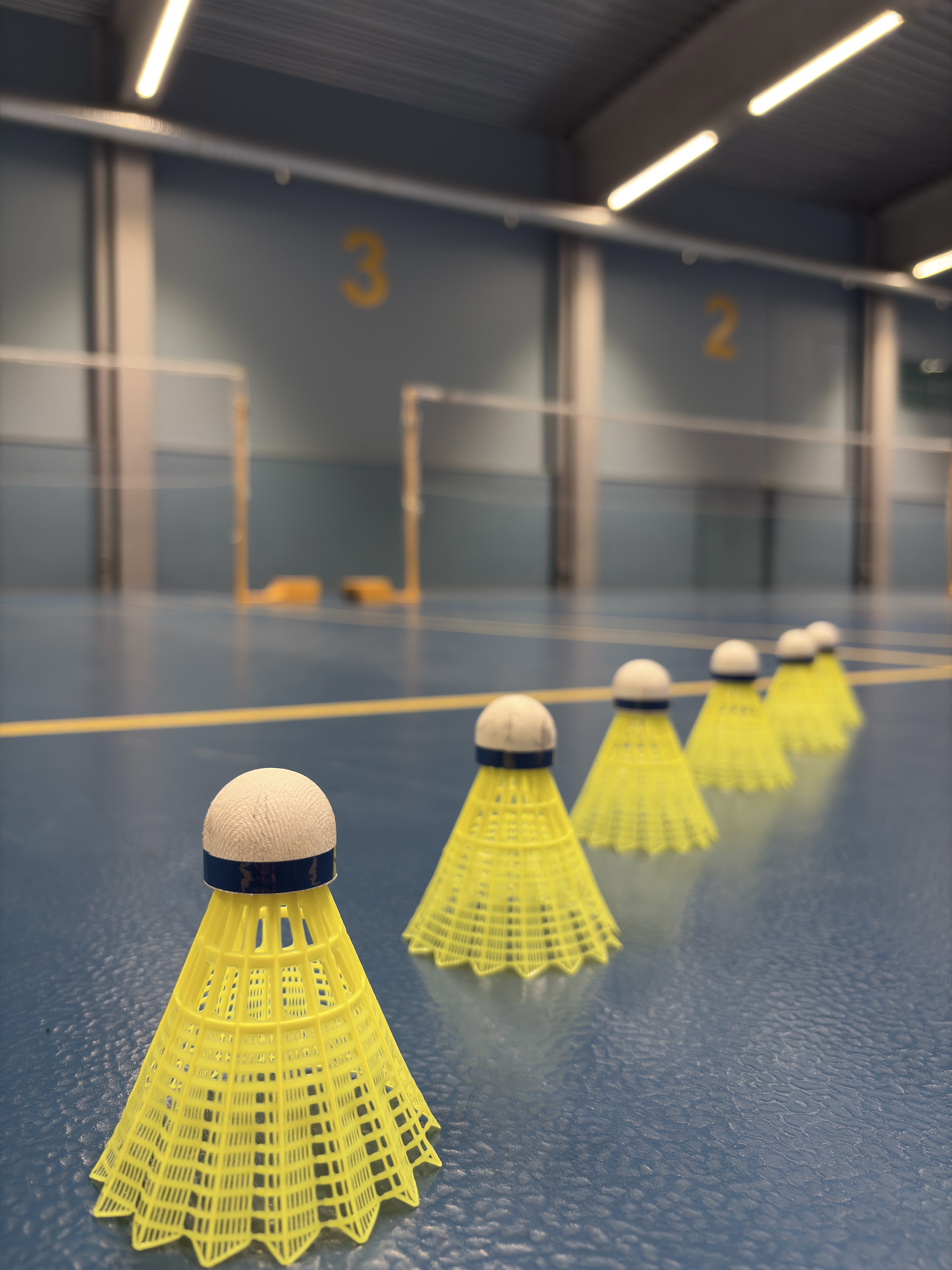 Sulkapallot rivissä